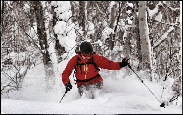 Tree-skiing, Hokkaido