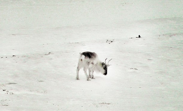 Photo 11-04-15 12 10 30