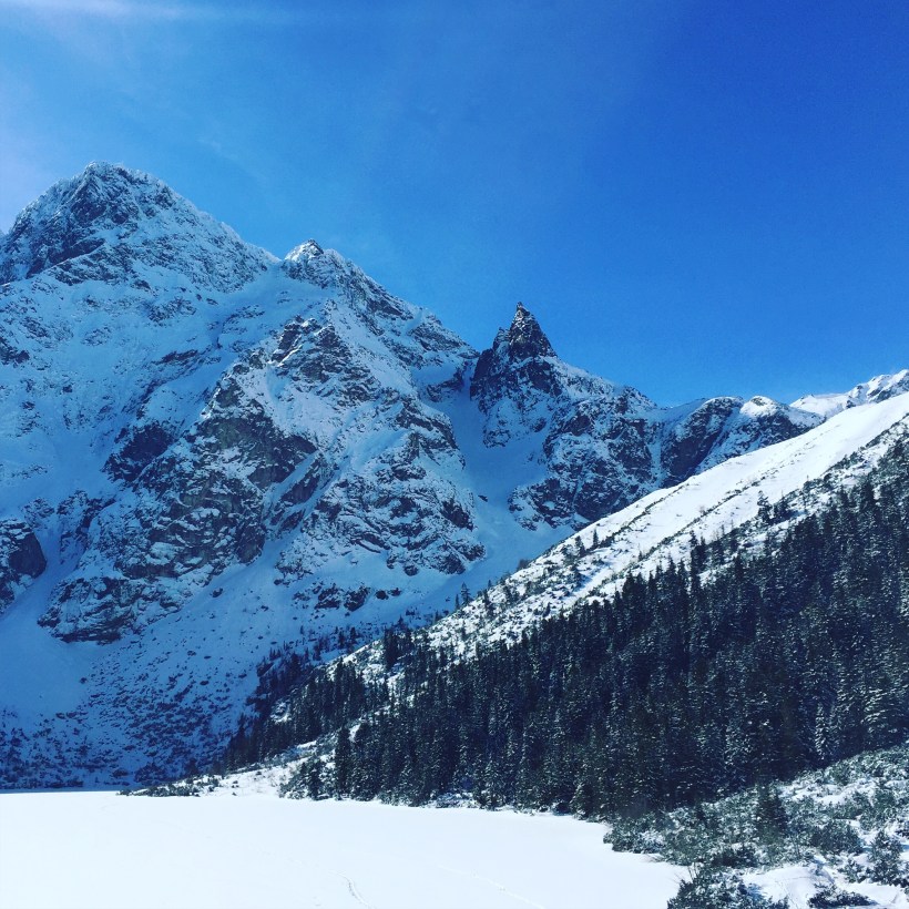 20160227_101213059_iOS