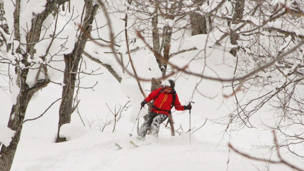 Treeskiing - jazda w drzewach. Jeśli ostatnie godziny po opadzie świeciło słońce lub wiał wiatr - warto wjechać do lasu: tam negatywne skutki jednego i drugiego są znacznie mniejsze... Puch jest miększy i bardziej puchowy. Tylko na drzewa trzeba uważać (Kuba!)...
