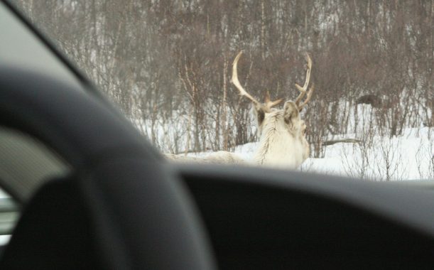 20160430_041222000_iOS